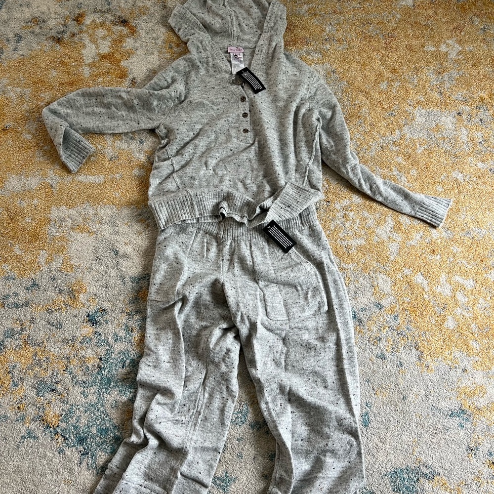 AnyBody Gray Pajama Set with Hood and Long Sleeves